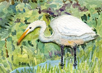 Spring Visitor Nancy Neider Caledonia WI watercolor collage